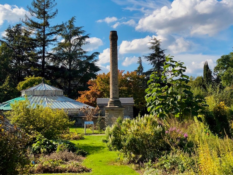 Se promener à Strasbourg : jardin&nbsp;botanique