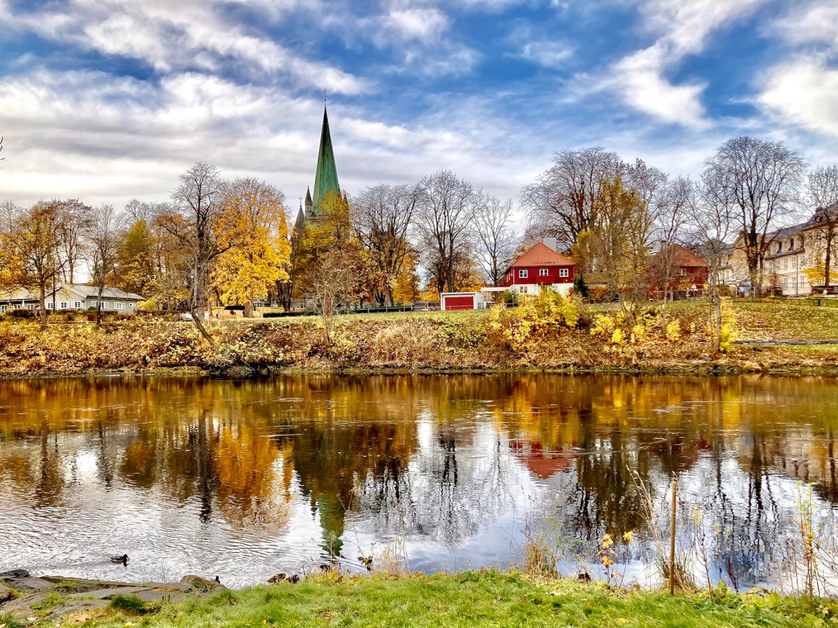 Visiter Trondheim en Norvège : nos 8 incontournables 